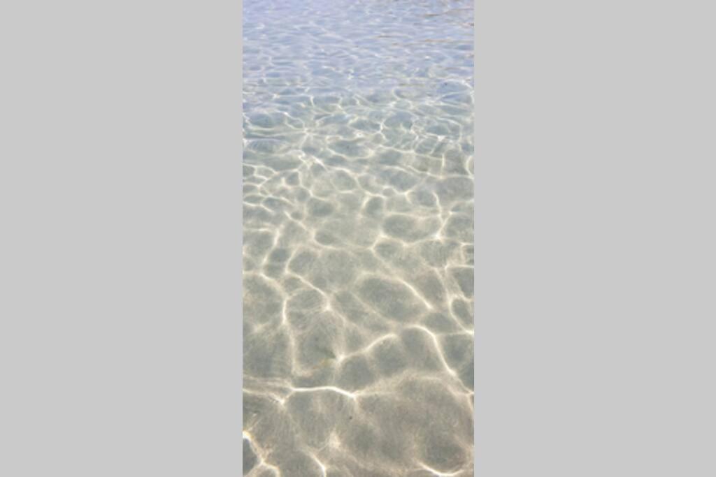 Stella Beach House At Free Beach Residence 哥斯达雷 外观 照片