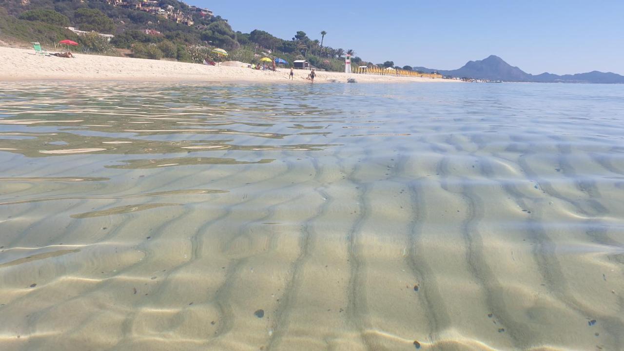 Stella Beach House At Free Beach Residence 哥斯达雷 外观 照片