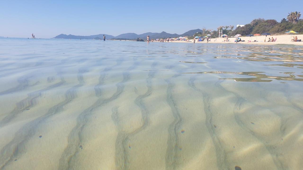 Stella Beach House At Free Beach Residence 哥斯达雷 外观 照片